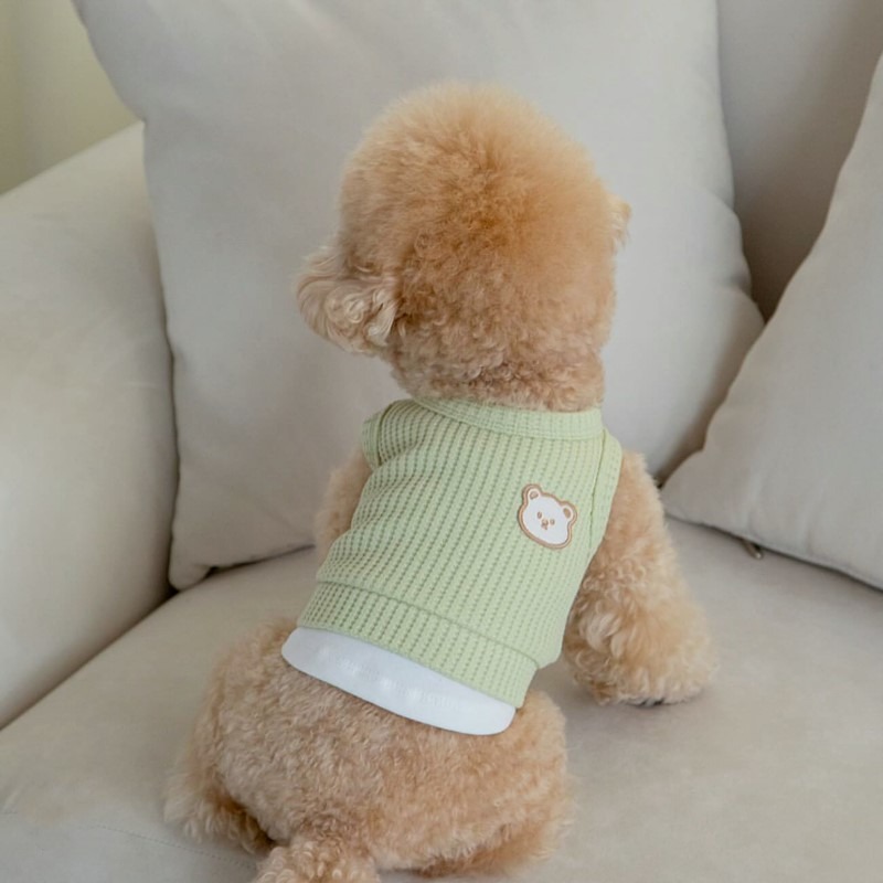 الأصفر الهراء ملابس الحيوانات  - مراجعة Soft Summer Yellow Clothing وسعره