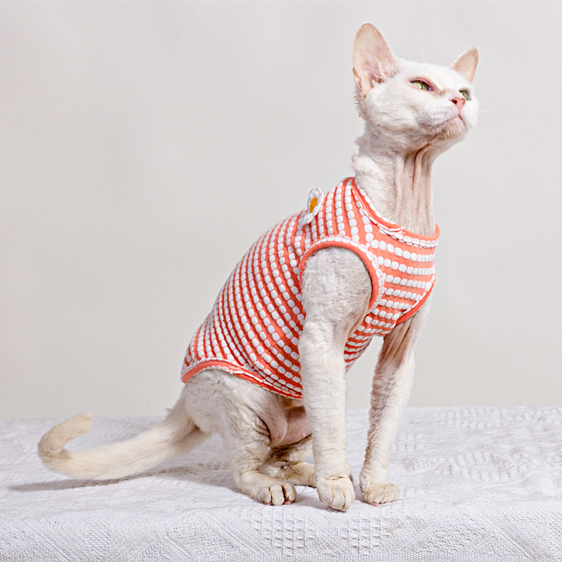 تي شيرت صيفي لملابس Sphynx Cat - مراجعة Soft Summer Yellow Clothing وسعره