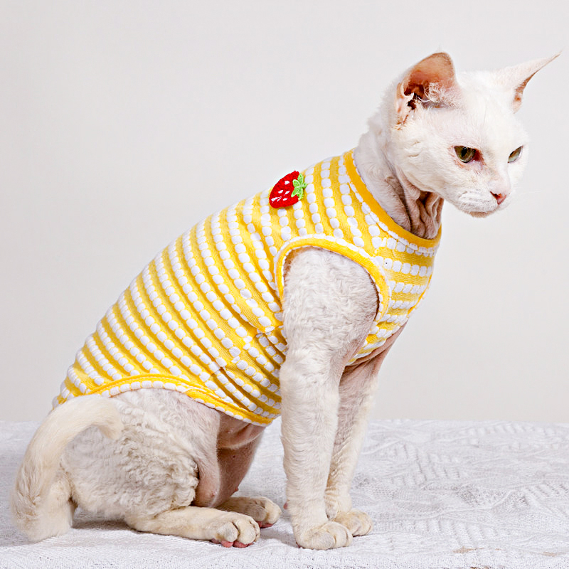 تي شيرت صيفي لملابس Sphynx Cat - مراجعة Soft Summer Yellow Clothing وسعره